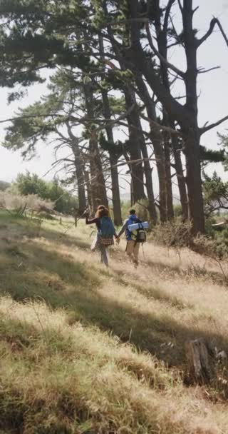 Ormanda Yürüyüş Yapan Çiftlerin Dikey Videosu Yavaş Çekim Kaliteli Zaman — Stok video