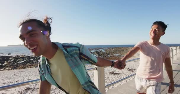 Gelukkig Divers Homoseksueel Mannelijk Paar Lopen Hand Hand Promenade Aan — Stockvideo