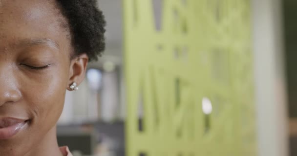 Demi Portrait Une Heureuse Femme Affaires Afro Américaine Bureau Souriante — Video