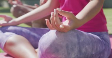 Çift ırklı çiftin güneşli bir günde bahçede yoga ve meditasyon yapmasının orta bölümü. Boş zaman, sağlık ve etkinlik.