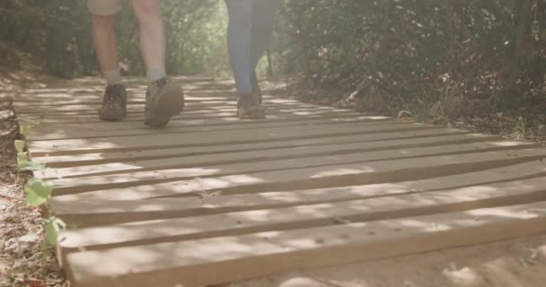 Low Section African American Couple Hiking Boardwalk Forest Slow Motion — Stock Video