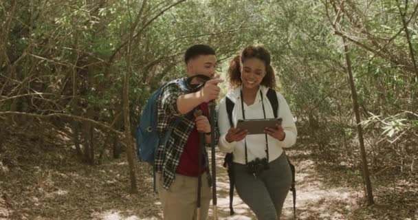 Mutlu Afro Amerikan Çifti Sırt Çantası Takıyor Yürüyüş Yapıyor Ormanda — Stok video