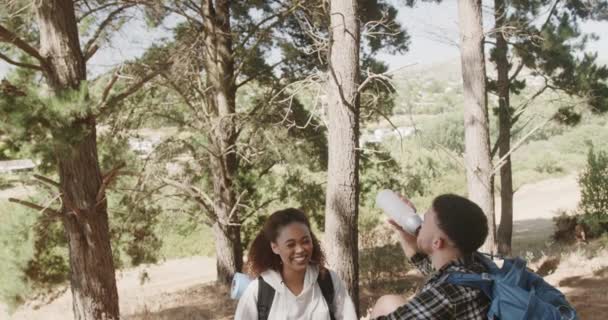 Mutlu Afro Amerikan Çifti Ağaç Gövdesinde Oturuyor Ormanda Içiyor Ağır — Stok video