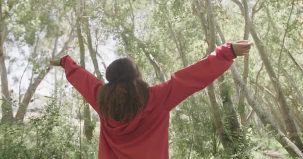 森の中で腕を広げている幸せなアフリカ系アメリカ人女性 スローモーション 質の高い時間 ライフスタイル ハイキング キャンプを過ごす — ストック動画