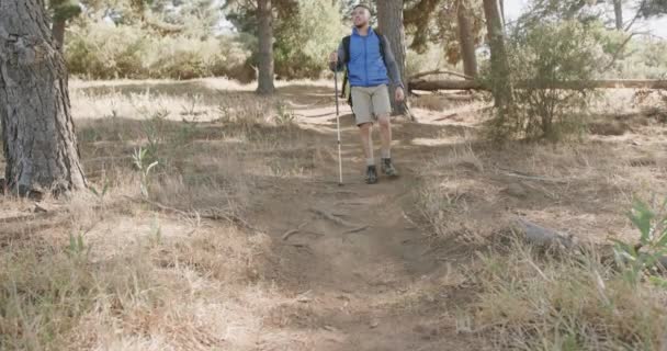 Afrika Kökenli Amerikalı Bir Adam Sırt Çantası Takıyor Ormanda Yürüyüş — Stok video