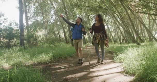 Heureux Couple Afro Américain Randonnée Pédestre Avec Bâtons Trekking Forêt — Video