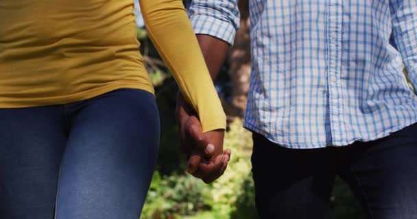Midsection African American Couple Holding Hands Walking Sunny Garden Staying — Stock Video