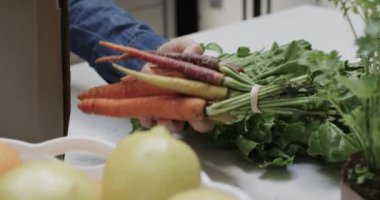 Mutfakta sebze ve meyve kutularını açan yaşlı beyaz kadının elleri, ağır çekimde. Yaşlı yaşam tarzı, beslenme ve sağlıklı beslenme, değişmemiş model..