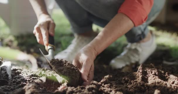 Low Section Senior Caucasian Woman Preparing Soil Hands Trowel Garden — Stock Video