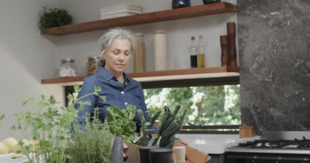 Szczęśliwy Starszy Kaukaski Kobieta Trzyma Pudełko Świeżych Owoców Warzyw Kuchni — Wideo stockowe