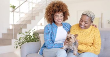 Mutlu lezbiyen çift, yavaş çekimde salonda sarılıp köpekleri okşuyor. Kaliteli zaman geçirmek, neşe, hayvanlar ve aşk.