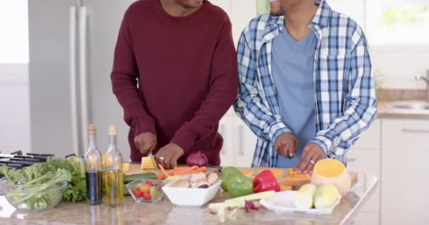 Szczęśliwy Afryki Amerykański Gej Mężczyzna Para Przygotowanie Obiad Siekanie Warzywa — Wideo stockowe
