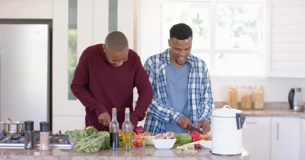 Feliz Pareja Gay Afroamericana Preparando Cena Picando Verduras Cocina Cámara — Vídeo de stock
