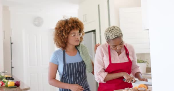 Önlük Giyip Mutfakta Ağır Çekimde Yemek Pişiren Mutlu Lezbiyen Çift — Stok video