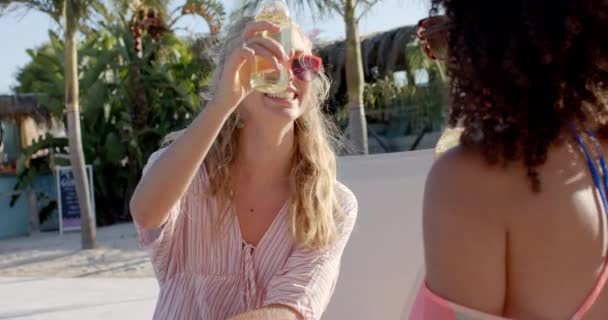 Zufriedene Freundinnen Die Bier Trinken Und Sich Mit Sonnenbrille Strandhaus — Stockvideo