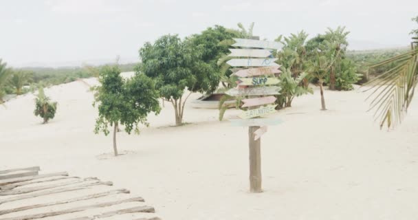 일광욕을 즐기는 해변에 날개달린 표지판 나무들이 천천히 움직이고 있습니다 목적지 — 비디오