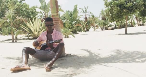 Szczęśliwy Afroamerykanin Siedzący Pod Drzewem Grający Gitarze Śpiewający Słonecznej Plaży — Wideo stockowe