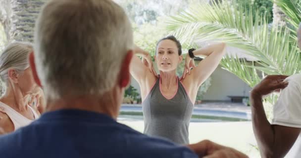 Konzentrierte Senioren Beim Pilates Kurs Mit Trainerin Garten Unverändert Zeitlupe — Stockvideo