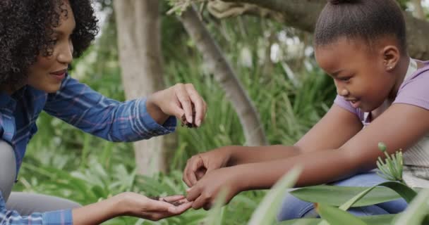 Щаслива Афро Американська Мати Дочка Торкаються Землі Саду Сповільнюють Рух — стокове відео