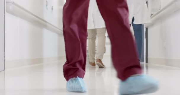 多様な男性医師の話や廊下でゆっくりと動き 変更されずに歩く 病院の廊下 — ストック動画