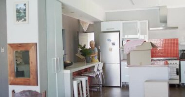 Kartonla yürüyen mutlu melez bir kadın evde bitkiyle ağır çekimde yürüyor. Ev hayatı, yaşam tarzı ve tasarım.