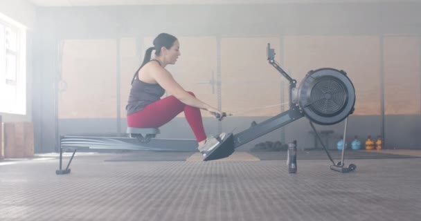 在体育馆的赛艇机上慢动作地锻炼的坚定的 不变的比利式女人 健康的生活方式 交叉训练 健身和锻炼 — 图库视频影像