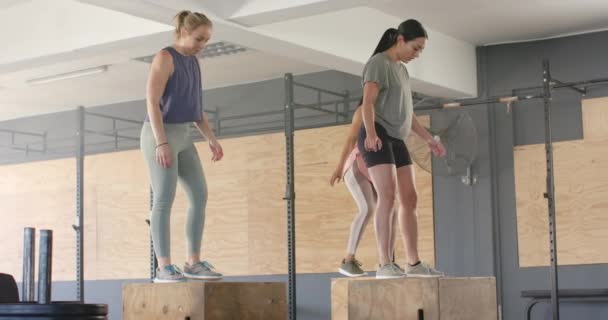 Determined Unaltered Diverse Women Jumping Boxes Training Fitness Class Gym — Stock Video