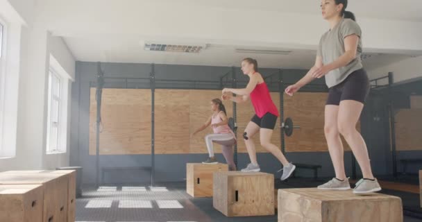 Mujeres Diversas Inalteradas Saltando Cajas Entrenando Clase Fitness Gimnasio Cámara — Vídeos de Stock