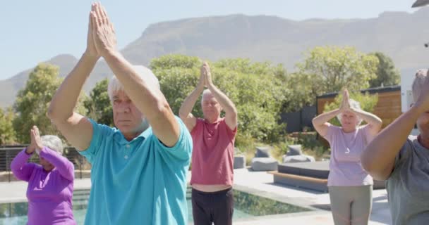 Fokuserade Olika Seniora Vänner Som Utövar Yoga Solig Trädgård Oföränderlig — Stockvideo