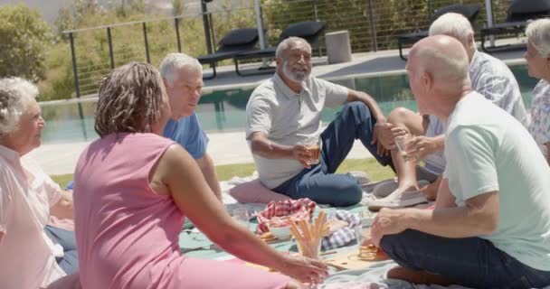 Счастливые Старшие Друзья Пьющие Тост Пикнике Солнечном Саду Нетронутые Замедленной — стоковое видео