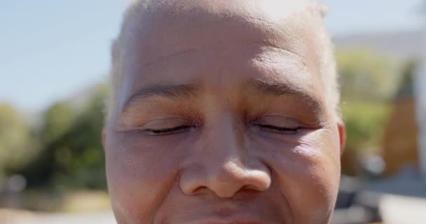 Портрет Счастливой Пожилой Африканской Женщины Саду Изменений Замедленной Съемке Пенсия — стоковое видео