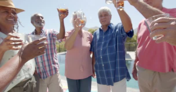 Glada Diverse Äldre Vänner Dricker Skål Solig Trädgårdsfest Oförändrad Slow — Stockvideo