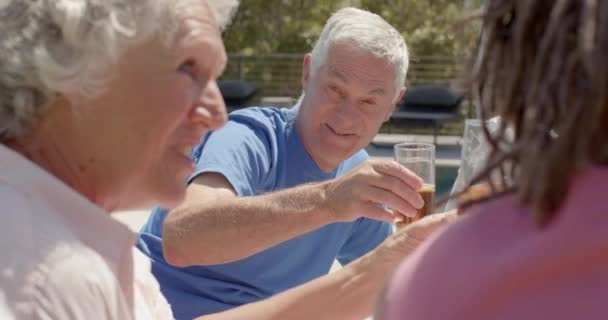 Felice Diversi Amici Anziani Che Bevono Brindisi Picnic Giardino Soleggiato — Video Stock
