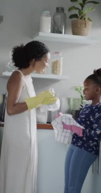 Anne ve kızının mutfakta bulaşık yıkadığı dikey video, yavaş çekim. Yaşam tarzı, aile ve aile hayatı.