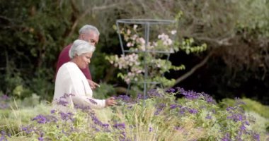 Sunny Garden 'da yürüyen ve çiçeklere dokunan yaşlı, melez bir çift. Değiştirilmemiş, ağır çekimde. Kıdemli yaşam tarzı, yaz, doğa, boş zaman ve ev hayatı..