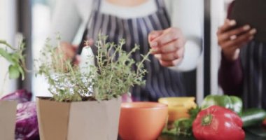 Çift ırklı lezbiyen çiftin orta kesimi bitkileri kesiyor ve mutfakta tablet kullanıyorlar, ağır çekimde. Aşçılık, yemek, sağlıklı yaşam tarzı, birliktelik, iletişim, tarif ve ev hayatı, değişmemiş.
