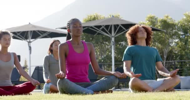 Focalizzato Diversi Amici Che Praticano Meditazione Yoga Insieme Seduti Nel — Video Stock