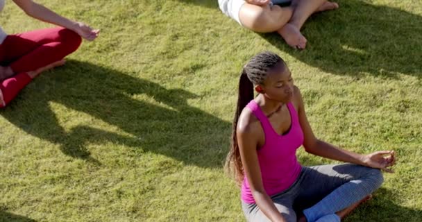 Yoga Yapan Farklı Arkadaşların Güneşli Bahçede Oturup Ağır Çekimde Meditasyon — Stok video
