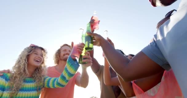 快乐多样的朋友喝着敬酒 在阳光下嬉笑在游泳池派对上 慢动作 生活方式 庆祝和聚会 不变的 — 图库视频影像