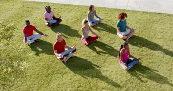 Vysoký Úhel Pohledu Různé Přátele Praktikující Jógu Meditace Sedí Slunné — Stock video