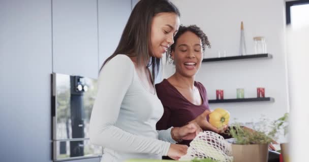 Feliz Pareja Lesbianas Birraciales Desempacando Compra Comestibles Hablando Cocina Cámara — Vídeo de stock