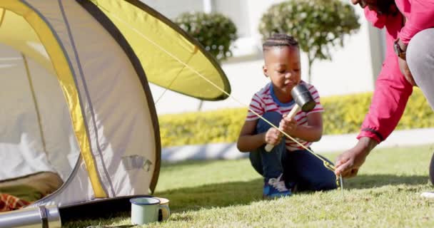 快乐的非洲裔美国人父亲和儿子在阳光灿烂的花园里一起搭帐篷 动作缓慢 闲暇时间 父亲身份 户外活动 快乐和团结 — 图库视频影像