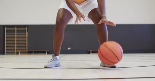 Πορτρέτο Της Αφροαμερικάνας Μπασκετμπολίστας Που Προπονείται Κλειστό Γήπεδο Αργή Κίνηση — Αρχείο Βίντεο