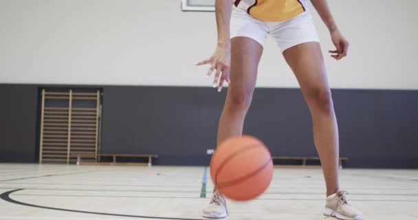 Portrait African American Female Basketball Player Training Indoor Court Slow — Stock Video