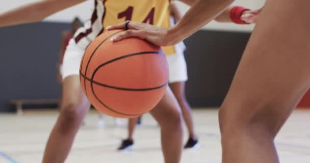 Vielfältiges Training Der Weiblichen Basketballmannschaft Mit Einem Männlichen Trainer Der — Stockvideo