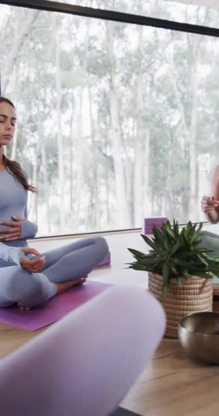 Vertical Video Focused Diverse Women Meditating Together Mats Yoga Class — Stock Video