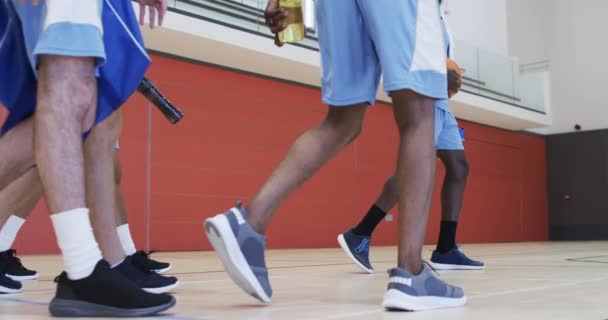 Divers Entraînements Équipes Masculines Basket Ball Salle Ralenti Sport Fitness — Video