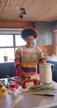 Mutfakta sebze atıklarını yavaş çekimde gübreleyen mutlu Afro-Amerikan kadının dikey videosu. Aşçılık, yemek, sağlıklı yaşam, ekoloji, geri dönüşüm ve ev hayatı, değiştirilmemiş.