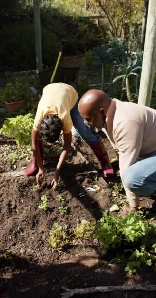 Vídeo Vertical Abuelo Afroamericano Nieto Plantando Jardín Cámara Lenta Alimentación — Vídeo de stock