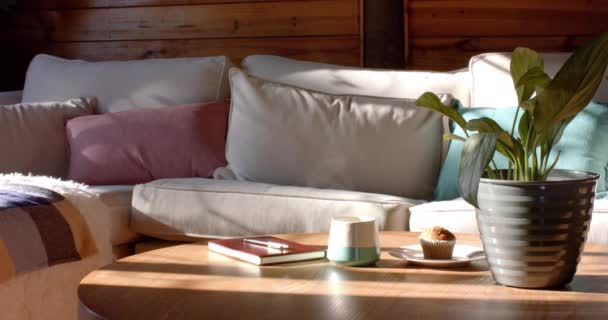 Interior Dari Kabin Kayu Dengan Sofa Meja Kopi Dan Tanaman — Stok Video